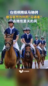 这个夏天，相约梧桐雨纵马游园赏美景，一起吹夏天的晚风吧！