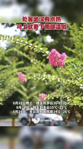 处暑武汉有点热，马上就要下雨降温啦！