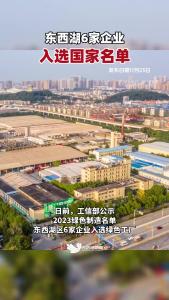 好消息！东西湖6家企业入选国家名单