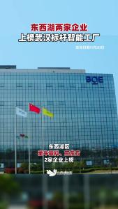 东西湖区蒙牛高科、京东方入选武汉标杆智能工厂