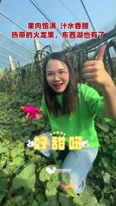 试种成功！东西湖火龙果火红上市