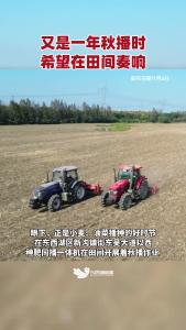 又是一年秋播时，东西湖计划今秋播种油菜1万亩、小麦0.6万亩