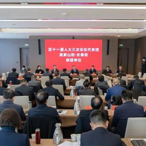 周明参加吴家山、长青代表团联团审议