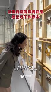 东西湖这里有座蝴蝶博物馆，共展出近千件标本