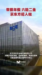 带薪年假 六险二金 武汉京东方光电科技有限公司2024年招聘开始啦！