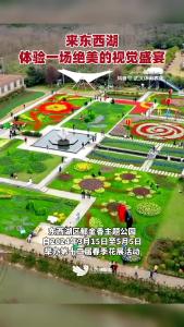 这个春天来东西湖，体验一场绝美的视觉盛宴！