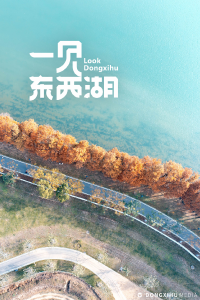 在武汉东西湖，寻得“小洱海”