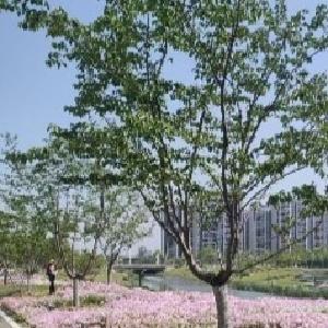 抢抓防治关键期 不负春日好时光