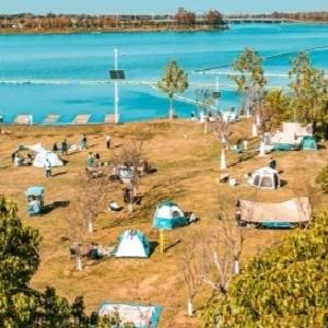 免费、半价！东西湖这些景区“发福利”