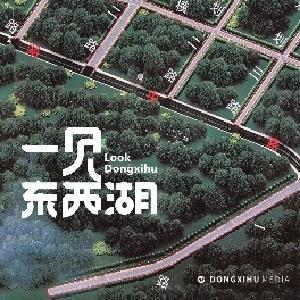 6条道路同时开工，东西湖这个区域将有大变化！