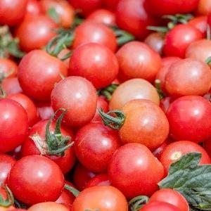 大丰收！社区居民可享“团购价”