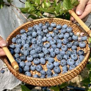 坐标辛安渡，天晴就去！