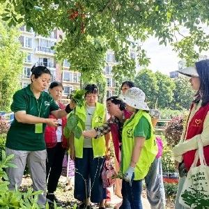 区绿委组织开展科普活动