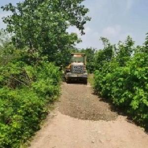 200户菜农喜提“VIP交易区”，这个社区给力！