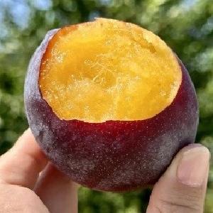 咬一口红星忆桃，回到小时候的夏天！