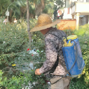 怡景社区开展“防蚊护健康”专项行动