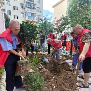 将军路社区退役军人志愿服务队：议事厅里谋良策 共享花园践初心