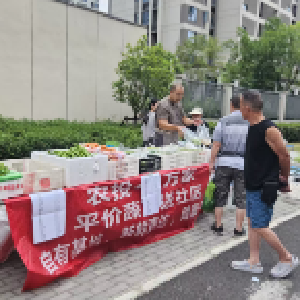 径河街道莲花湖社区：社区“蔬”通民生路，农投“鲜”启共治篇