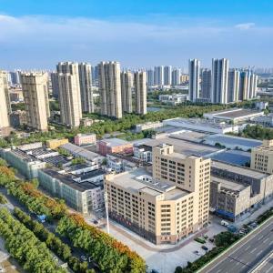 就地孵化就地投产，东西湖这里有实招