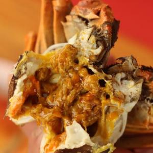 东西湖的螃蟹，膏满黄肥！