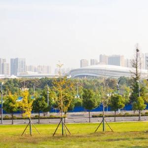 东西湖这座山，变了！