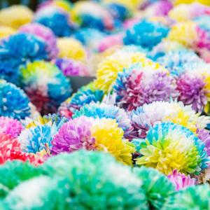 武汉东西湖区第29届金秋菊展开幕