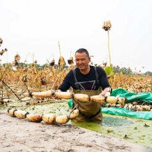 今天，东西湖两度亮相央视！