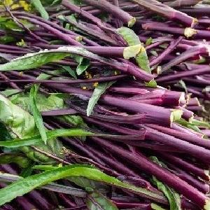 首次尝试，成功！