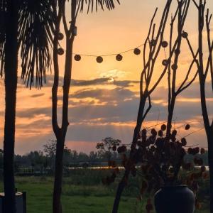 东西湖“落日收藏馆”成打卡热门地（有福利）