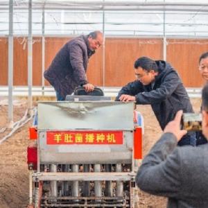 上新！区农投现代农业生产示范园打造羊肚菌种植基地