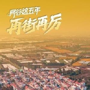 东山街：科技兴农三产融合 美丽乡村画卷绵延