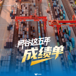 什么是武汉陆港枢纽?