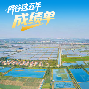 新田园，新画卷