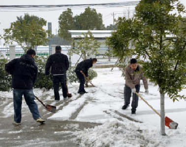 闻雪而动显担当 温情守护暖寒冬——辛安渡街各单位积极应对降雪天气