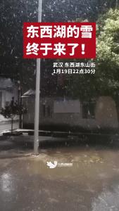东西湖的雪终于来了！