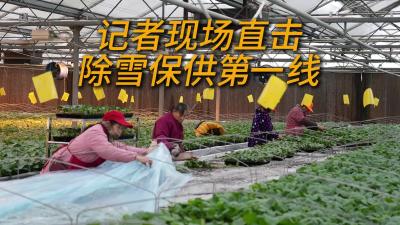 记者现场直击：武汉市东西湖维农种苗有限公司