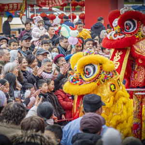常青花园第六社区举办新春庙会