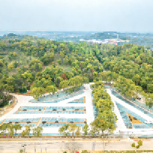 正式开放！东西湖新改建停车位近千个