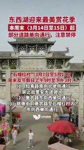 本周末（3月14日至15日）起，东西湖片区：部分道路单向通行，注意禁停。