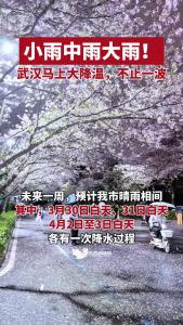 小雨中雨大雨！武汉马上大降温，不止一波。