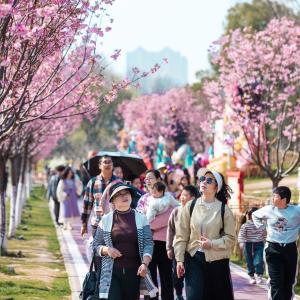 东西湖：花开正好，万人沉醉 
