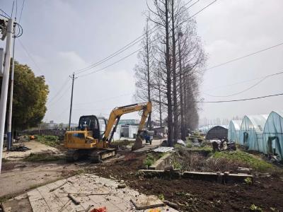 向“开荒地”亮剑，建整洁宜居家园