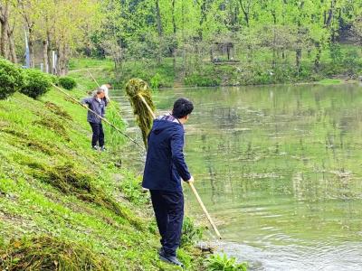 全员清湖，将军路文旅产业发展公司组织开展黄塘湖雨后清捞