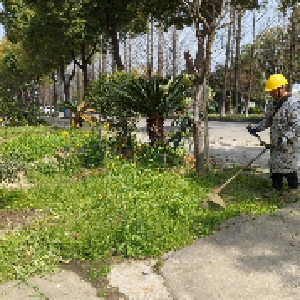 汉江大堤旁这片800㎡荒地即将成为居民幸福游园