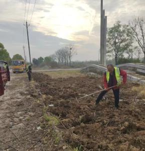 湖畔春播植繁花——巨龙湖畔抢抓时令提升滨水景观