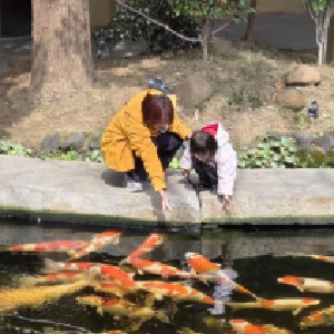 东山街群力社区清明小长假乡村旅游热度拉满