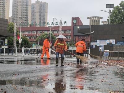 雨后即清，水退路净——东西湖区高效开展雨后清洁行动