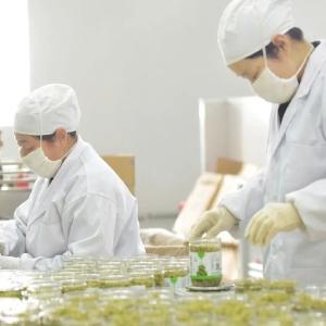再添5项“湖北精品”，东西湖凭的是什么？