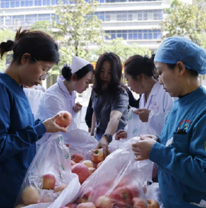 特稿 | 8000斤苹果引发的爱心接力