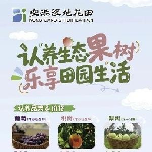 认养一棵树，火热招募中！